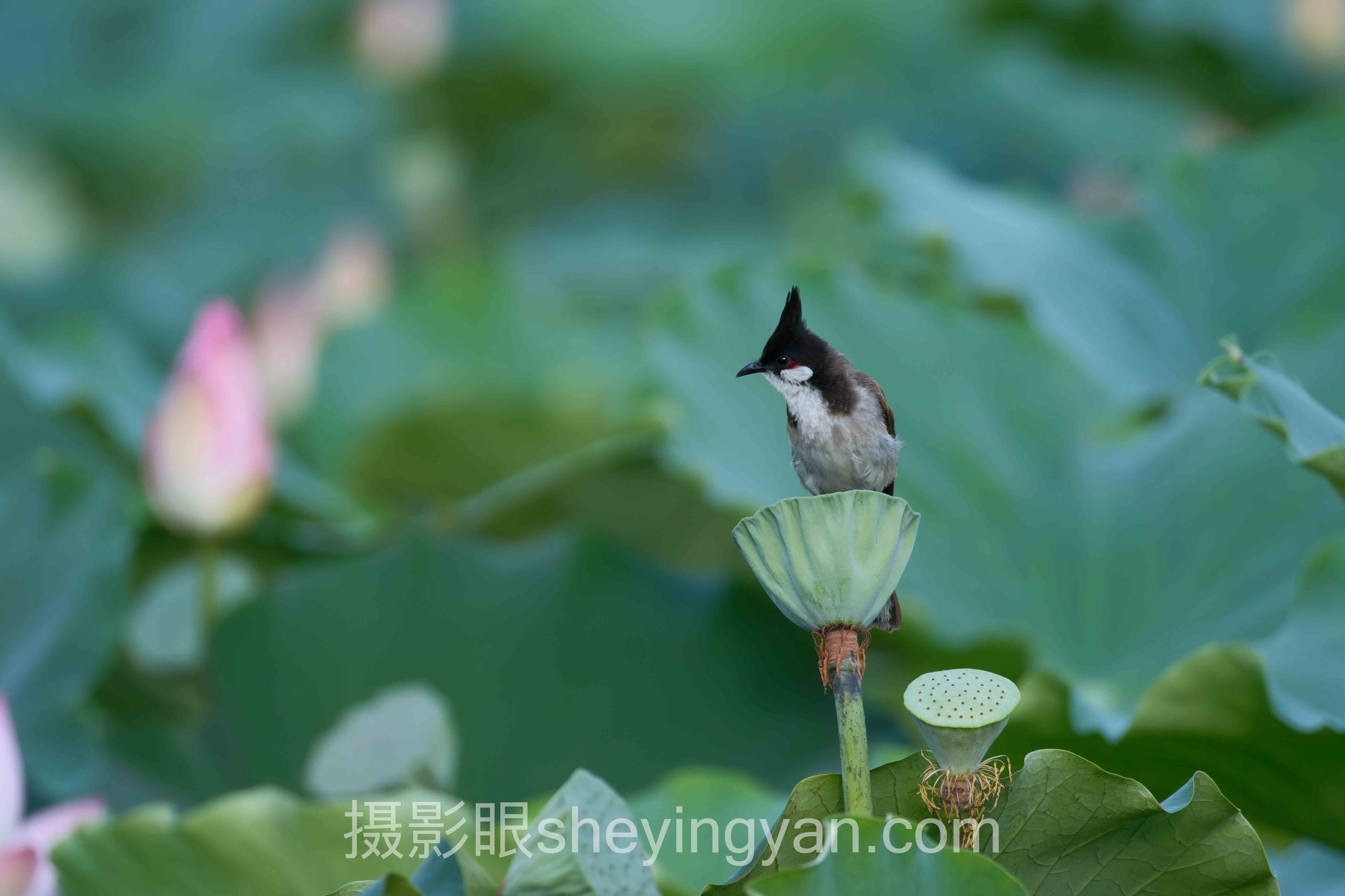 快门速度怎么设置？3个案例告诉你答案