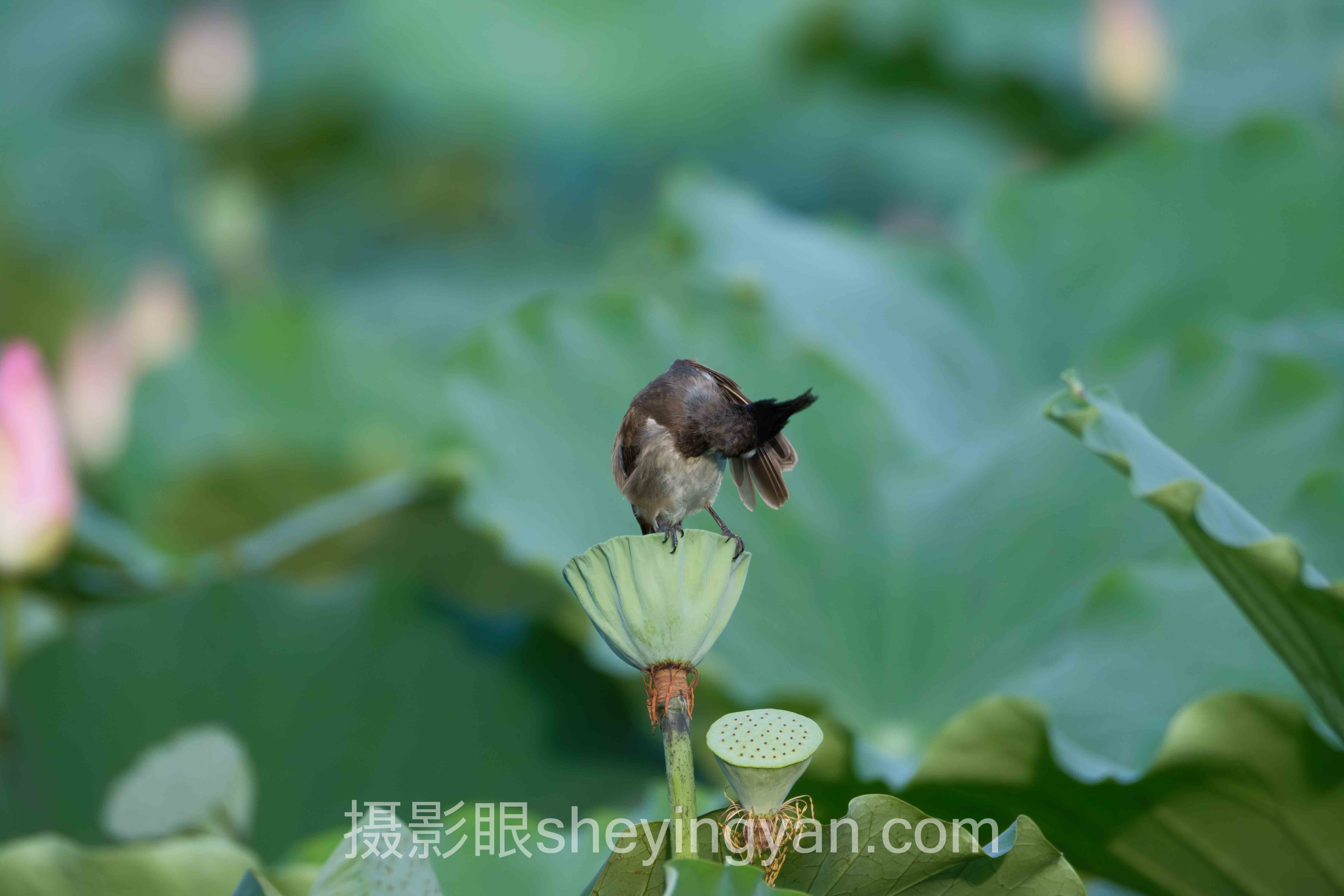 对话行业专家：摄影作品集审核通过的关键洞察与前瞻