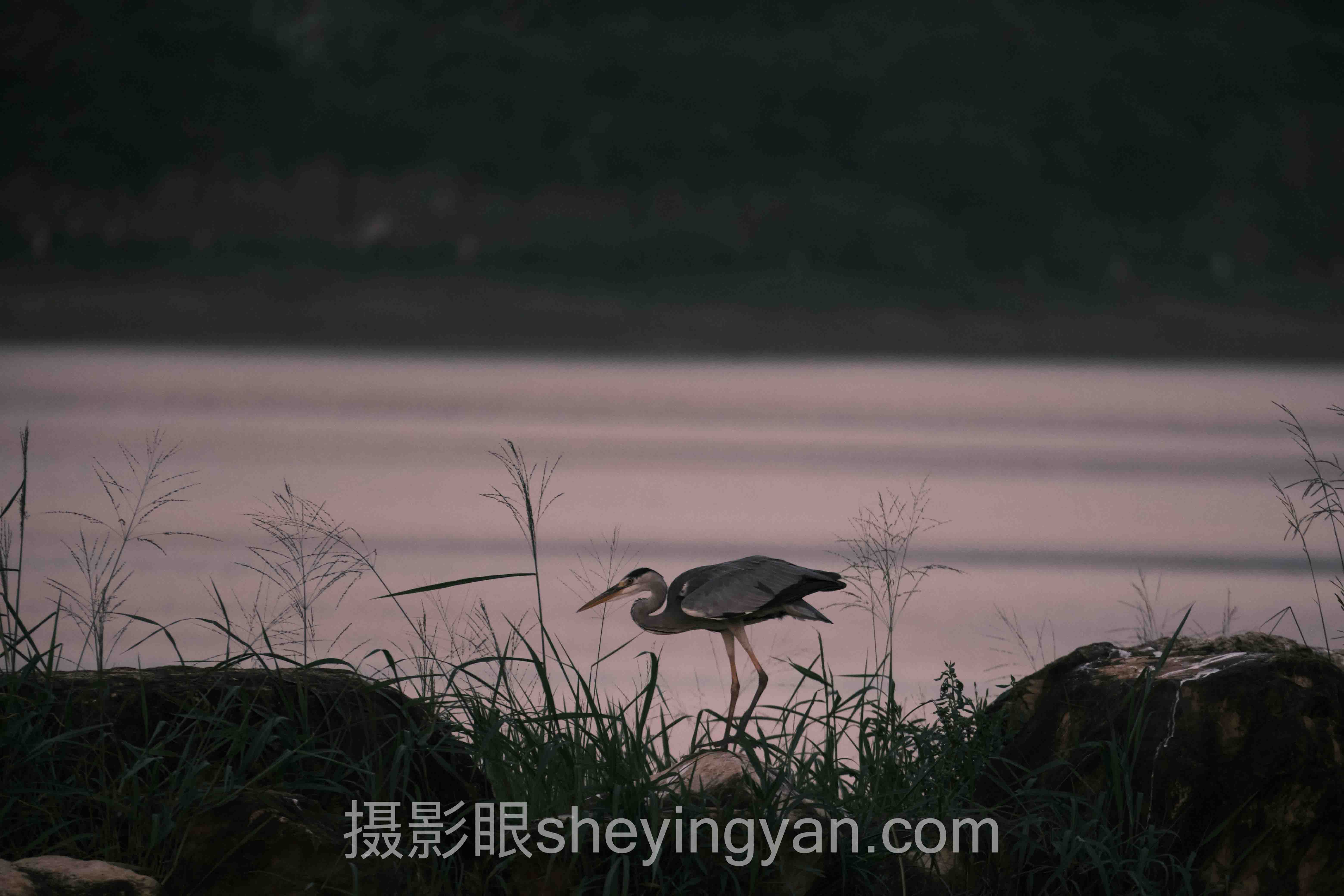 深度解析：摄影学习效果对比的核心问题与答案