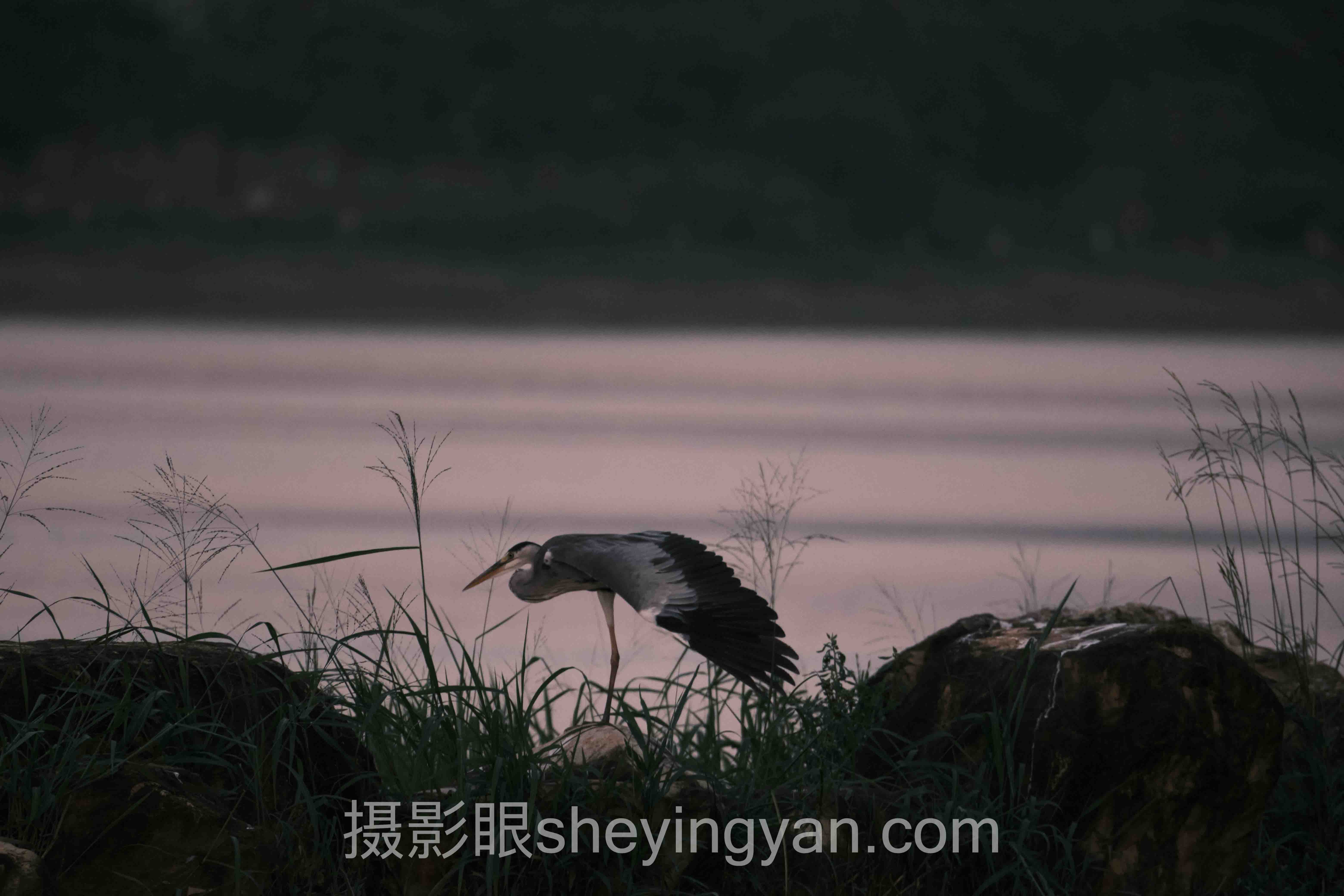 深度解析：摄影眼5分和6分差在哪的核心问题与答案