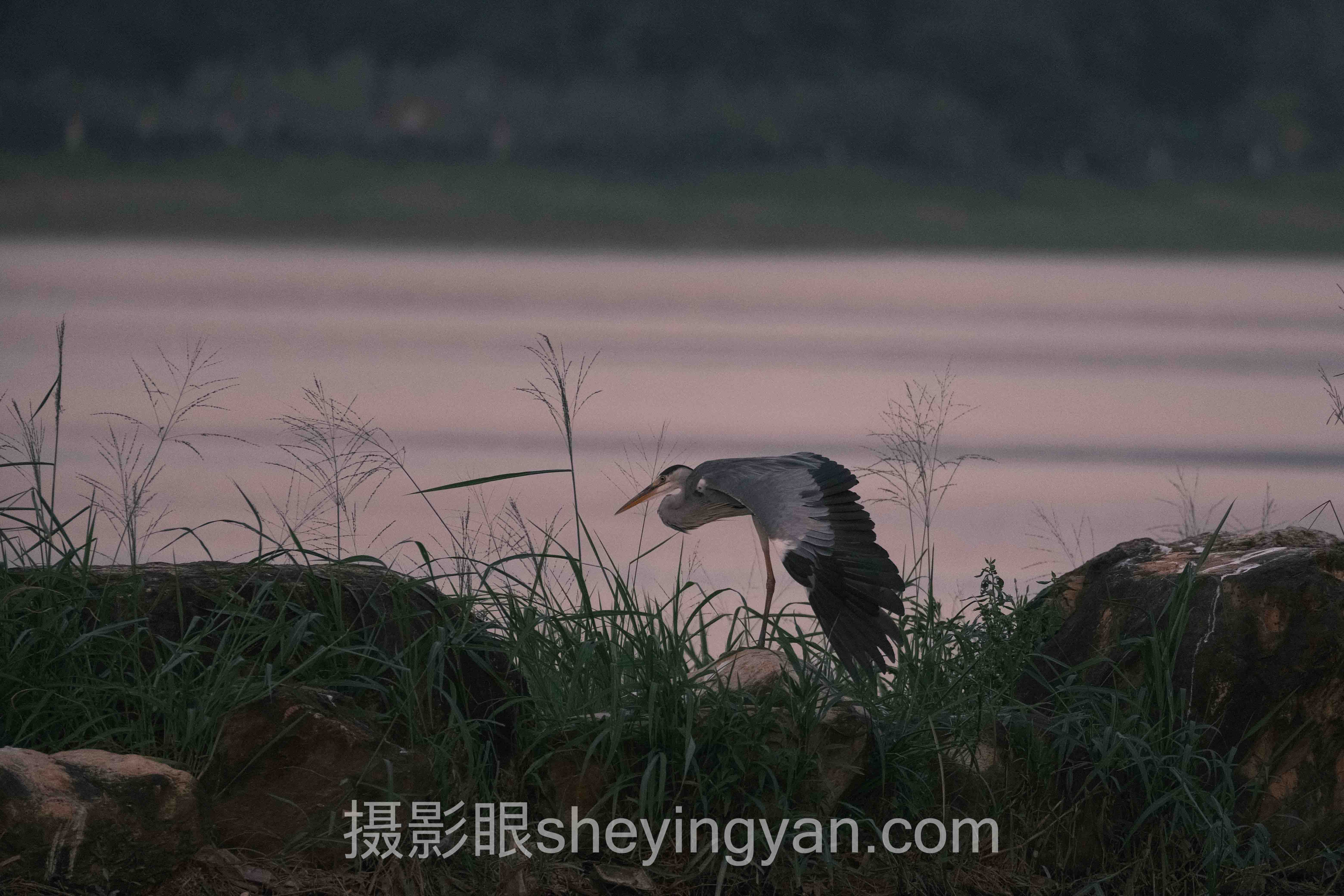手机摄影高级技巧避坑指南：8个关键要点全梳理