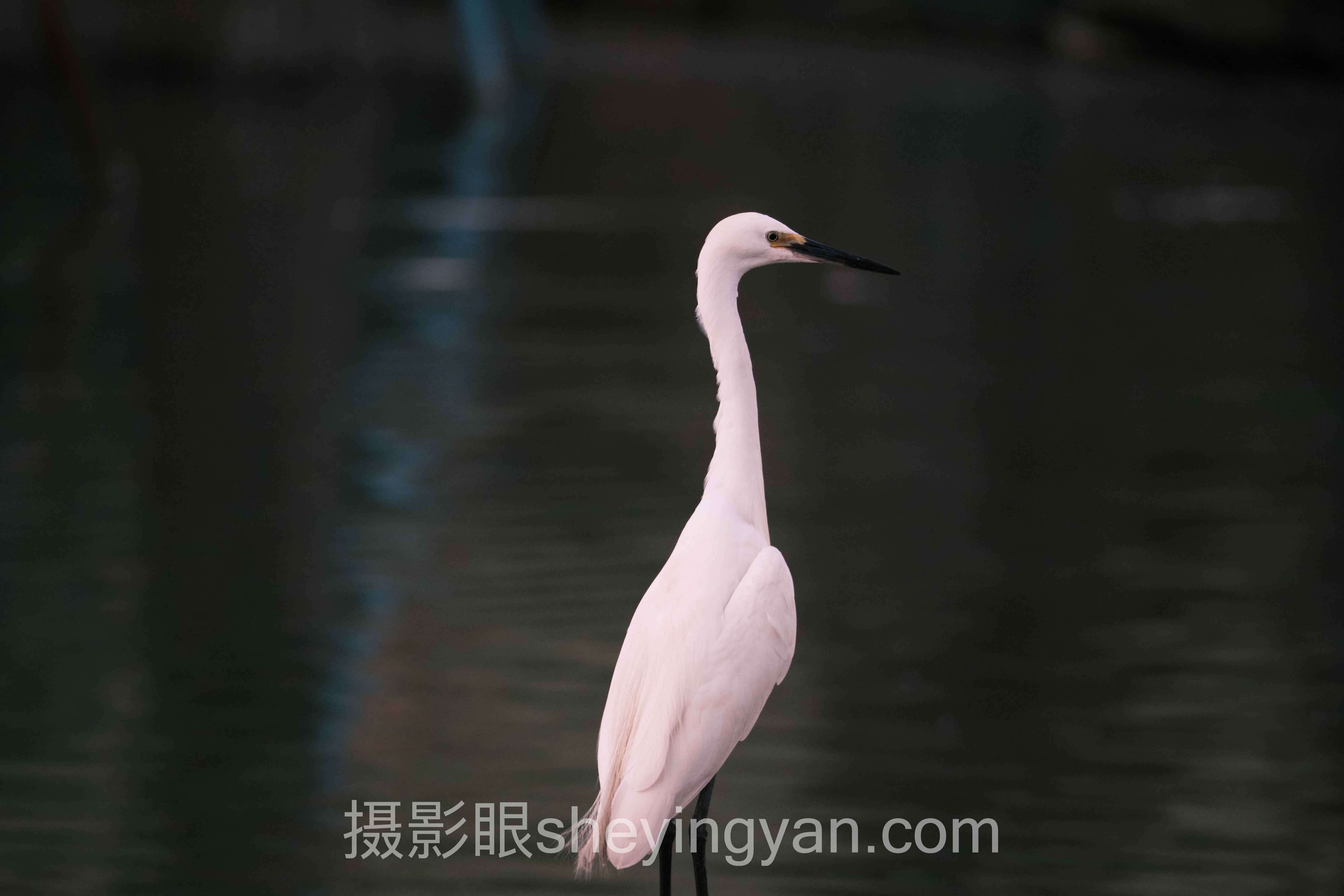 摄影审美训练方法全问答：你想知道的都在这里