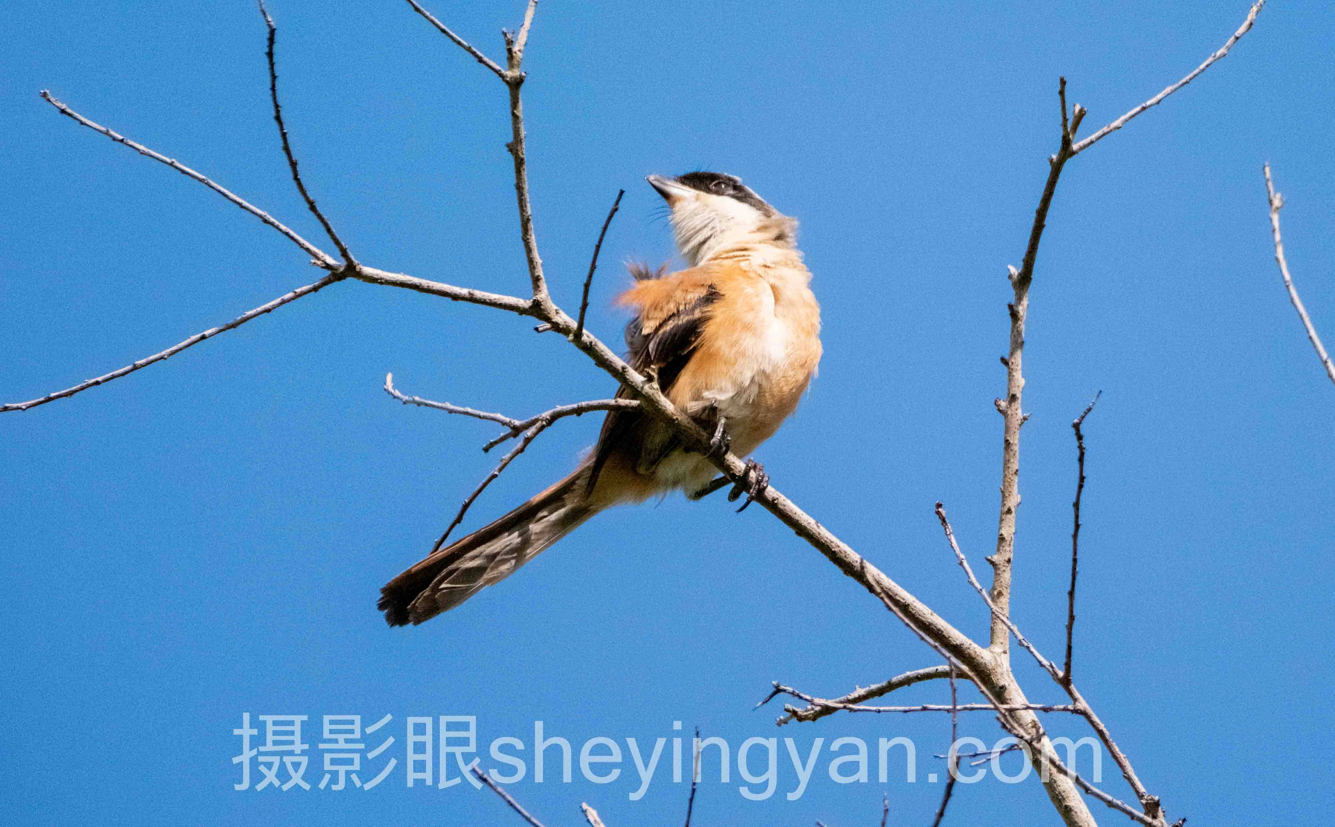 构图进阶实战课封面