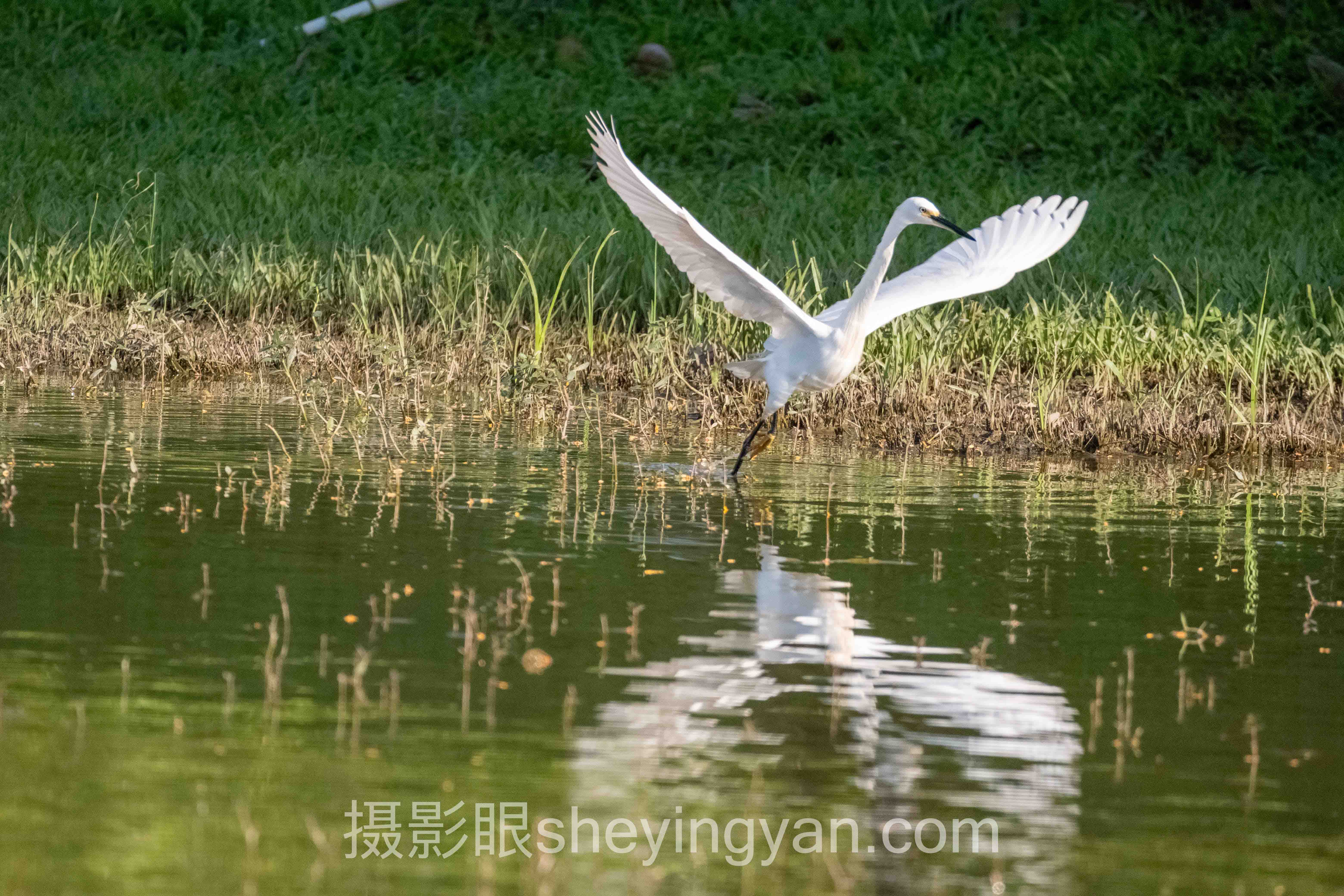 导师张老师